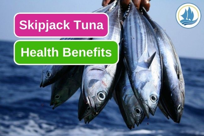 The 5 Best Benefits Of Consuming Skipjack Tuna 
